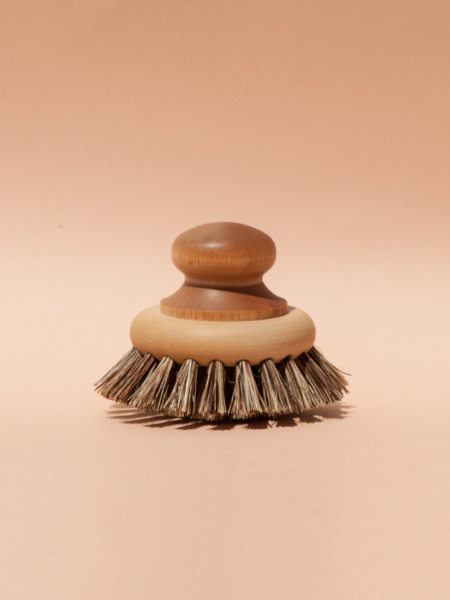 Mushroom Brush, Sustainable Design by TAOS