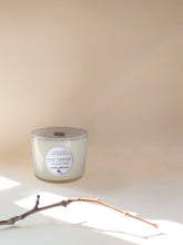 Load image into Gallery viewer, Glass Candles LAVENDER OF PROVENCE Mint Pantari
