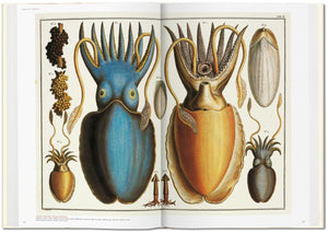 Albertus Seba. Cabinet of Natural Curiosities XL